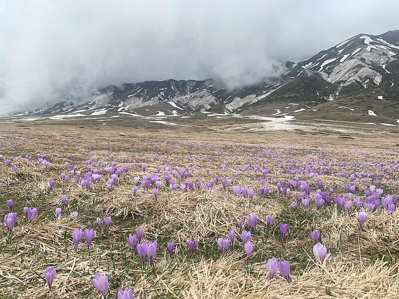 Panorama di Gran Sasso (Campo Imperatore)